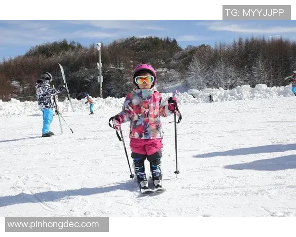 广州飞盘队创历史新高耐力排名引发热议运动热潮再度掀起